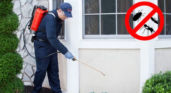 Evka 2 Sivrisinek İlaçlama böcek ilaçlama ve haşere kontrolü — ilaclama-tr.com